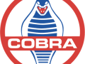 Cobra-logo-1D3358A72E-seeklogo.com